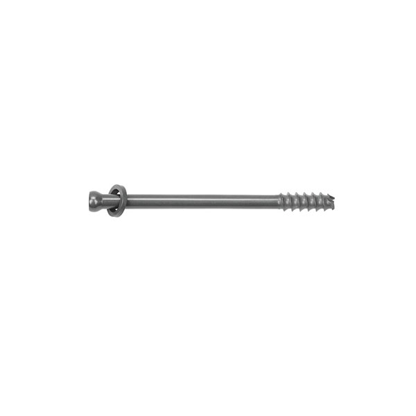 Femur Neck Cannulated Compression Screws for Orthopedic Surgery with CE