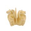 Medical Teaching Models Bone Color Human Teaching Skeleton Model of Expansion Model of Ethmoid Bone