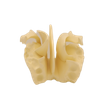 Medical Teaching Models Bone Color Human Teaching Skeleton Model of Expansion Model of Ethmoid Bone