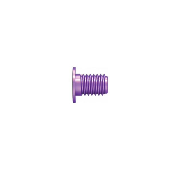 Expert Design Femur&reconstruction Interlocking Nails 4.7 full thread locking screw with inner thread