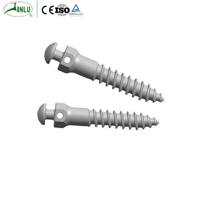 Titanium Maxillofacial Plates Orthodontic Anchorage Screw（Titanium Alloy）