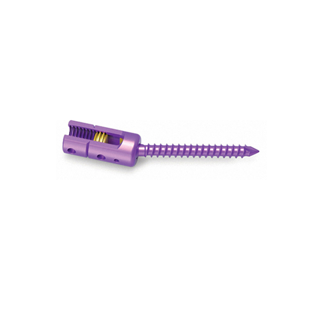 Spinal Products Pedicle Screw for Spine Fixation with High Quality