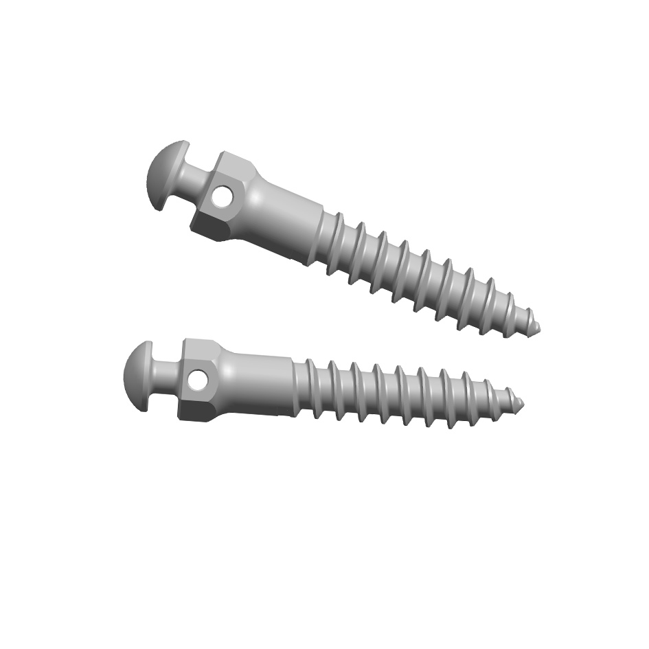 Titanium Maxillofacial Plates Orthodontic Anchorage Screw（Titanium Alloy）