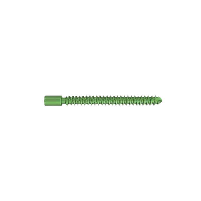 New Design PFNA(Gamma) Interlocking Nails II locking screw with for Femur with CE