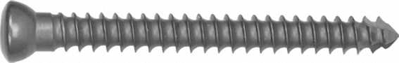 bone screws